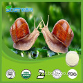 Wholesale Cosmetic Ingredient Pure Snail Extract